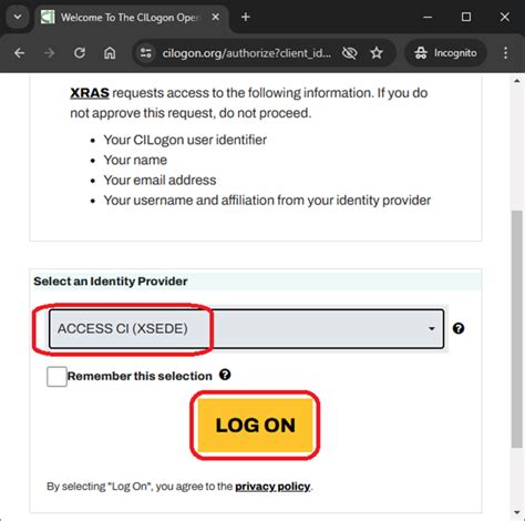 Your Access to CI .